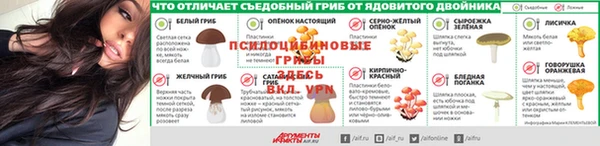 ALPHA PVP Кинешма