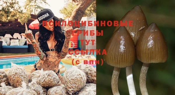 меф VHQ Козловка