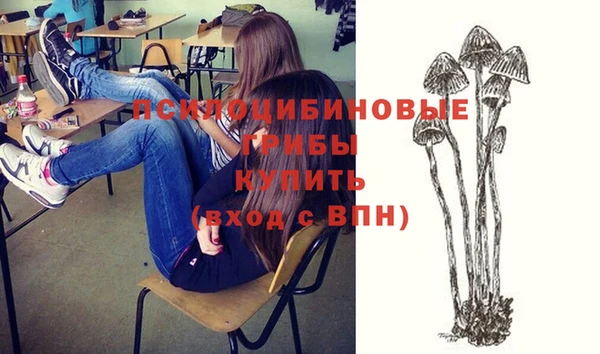стаф Кодинск