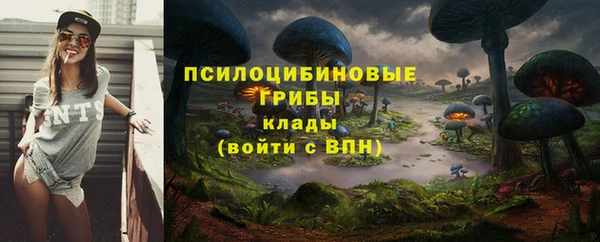 стаф Кодинск