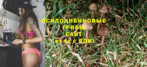 2c-b Киреевск