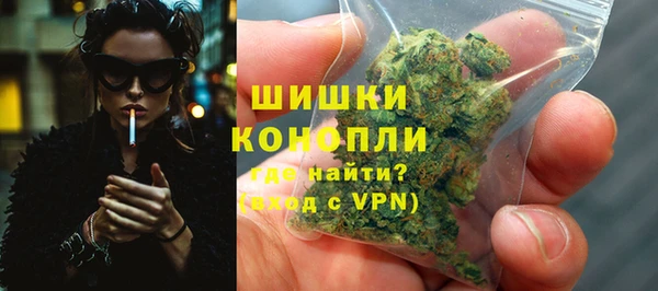 стаф Кодинск