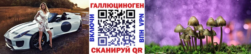 kraken зеркало  Котельнич  Галлюциногенные грибы Magic Shrooms 